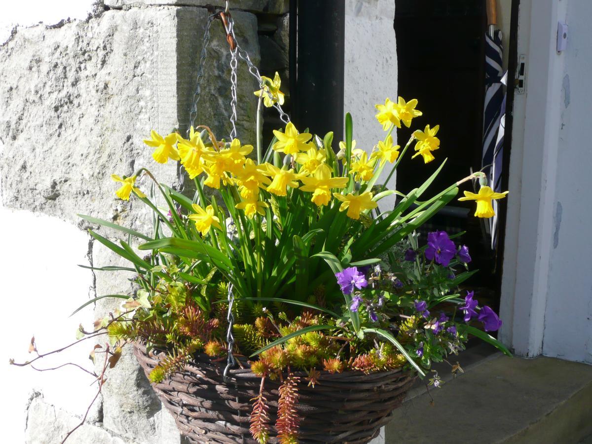 Glenville House - Adults Only - Incl Free Off-Site Health Club With Swimming Pool, Hot Tub, Sauna & Steam Room Bowness-on-Windermere Buitenkant foto