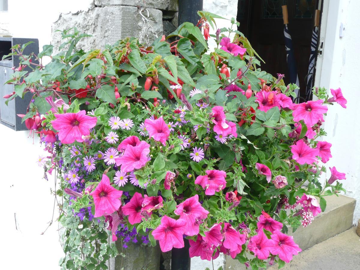 Glenville House - Adults Only - Incl Free Off-Site Health Club With Swimming Pool, Hot Tub, Sauna & Steam Room Bowness-on-Windermere Buitenkant foto